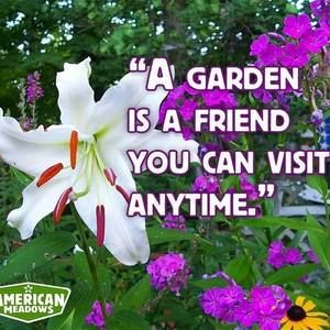 Meet your Posher, Jean